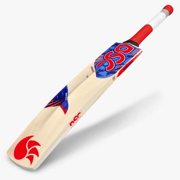 DSC Roar Hunter Kashmir Willow Bat – Durable and balanced bat designed for powerful shots and easy handling, ideal for beginner and casual players.